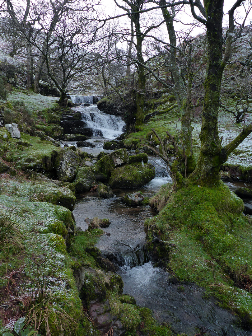 Mossy streambanks