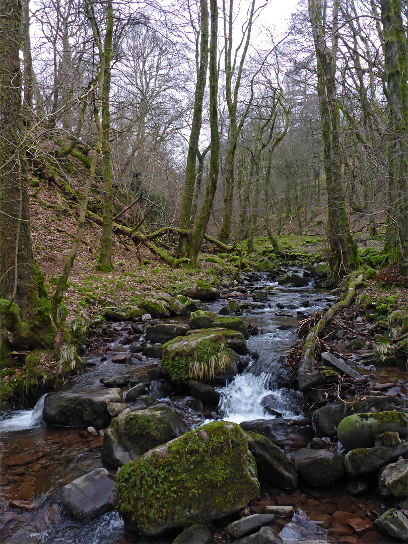 Lower end of the valley