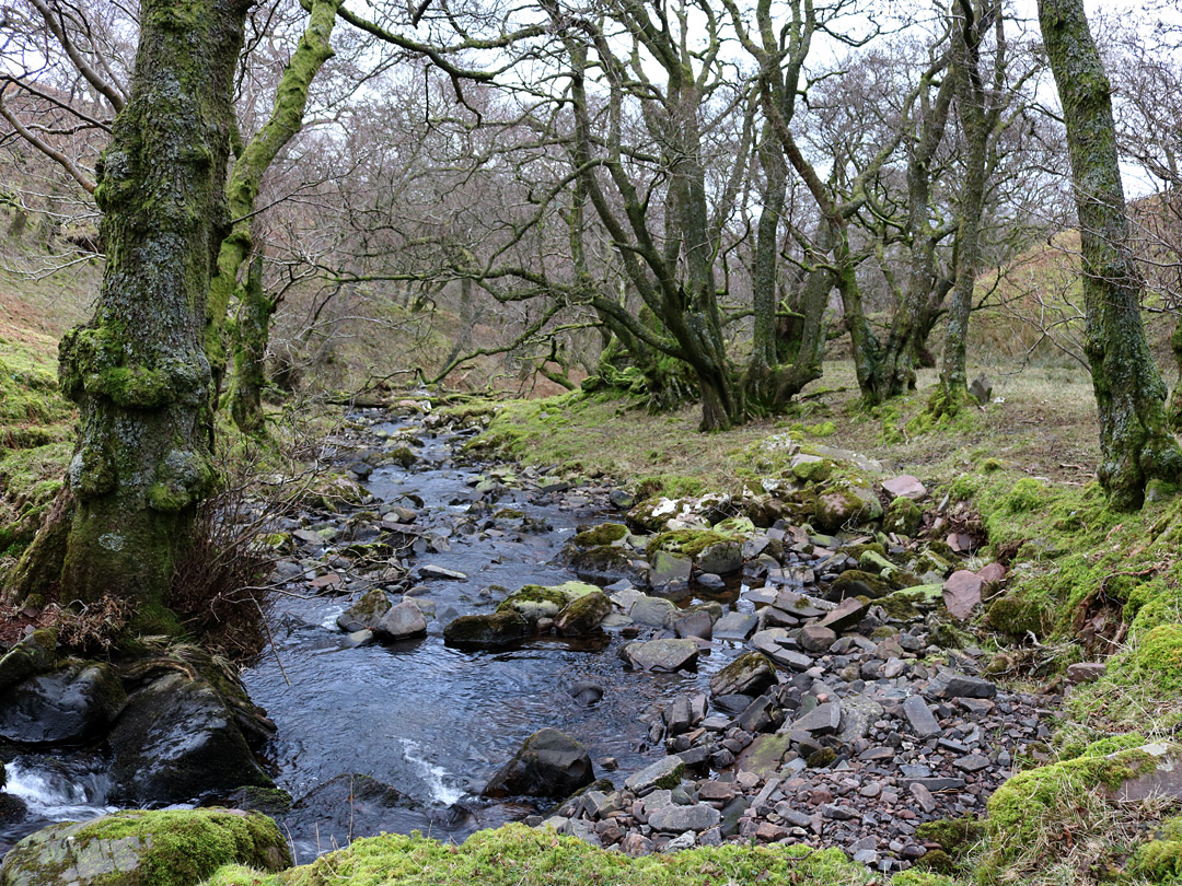 Shallow valley