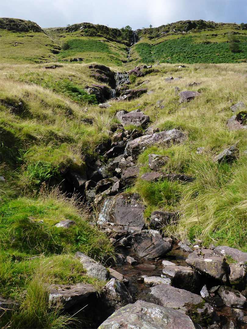 Tributary stream