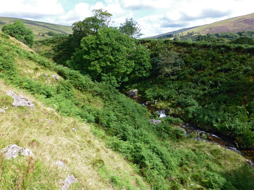 Nant Tawe-Fechan