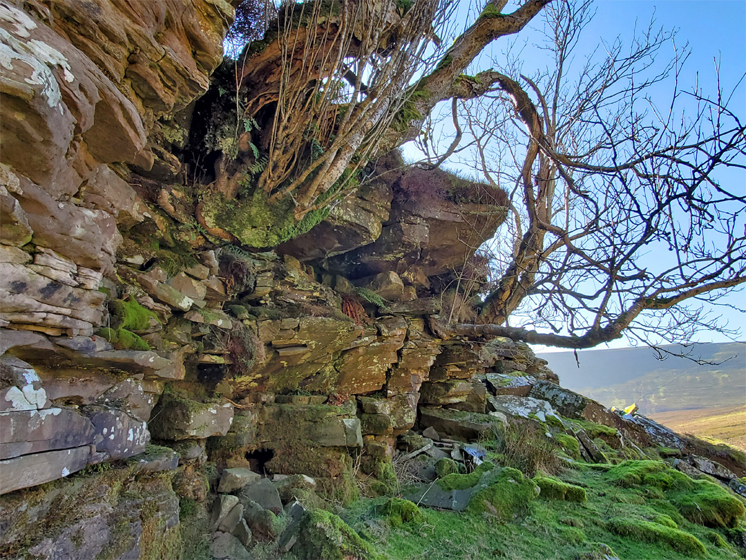 Rocky outcrop