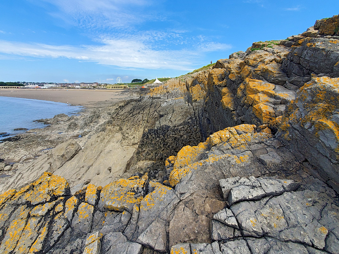 Lichen on rocks