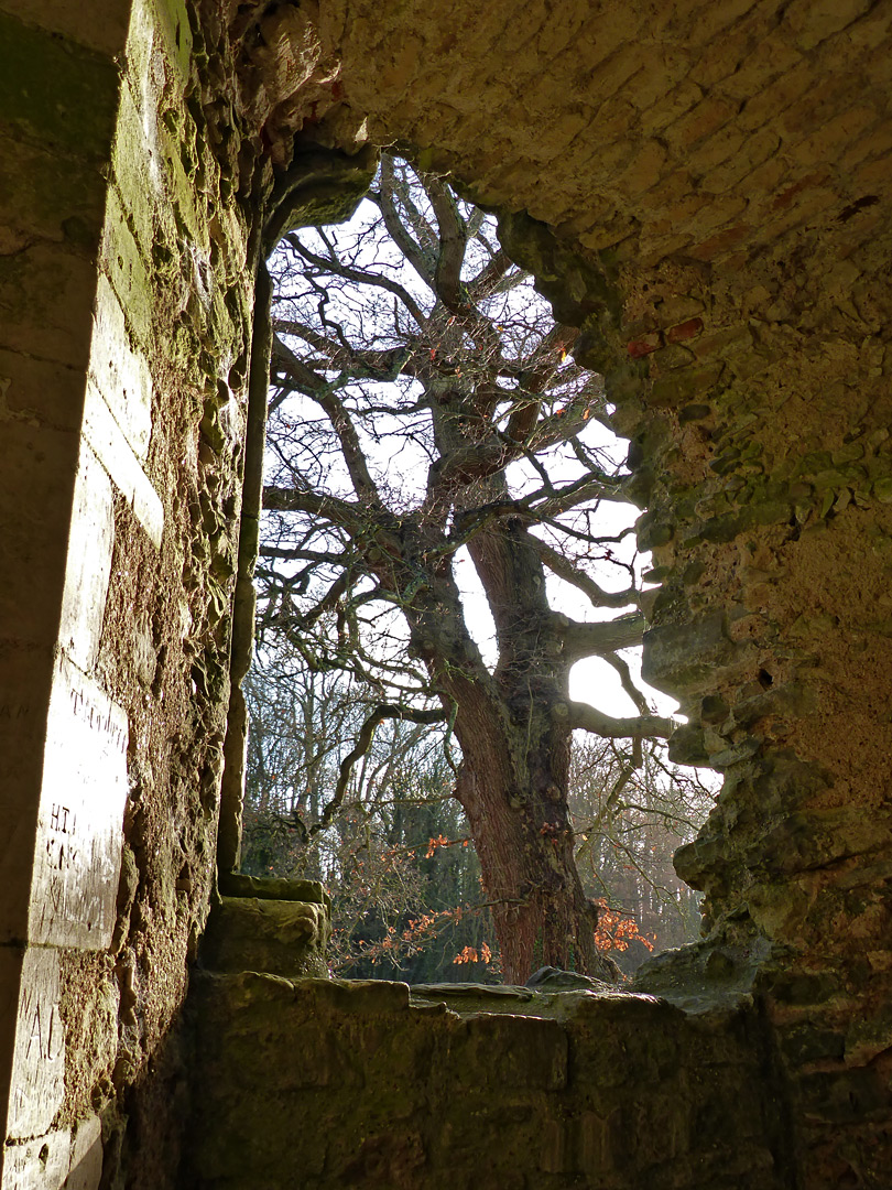 Window in the abbot's lodging