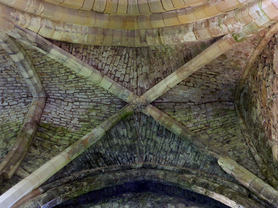 Vaulted ceiling