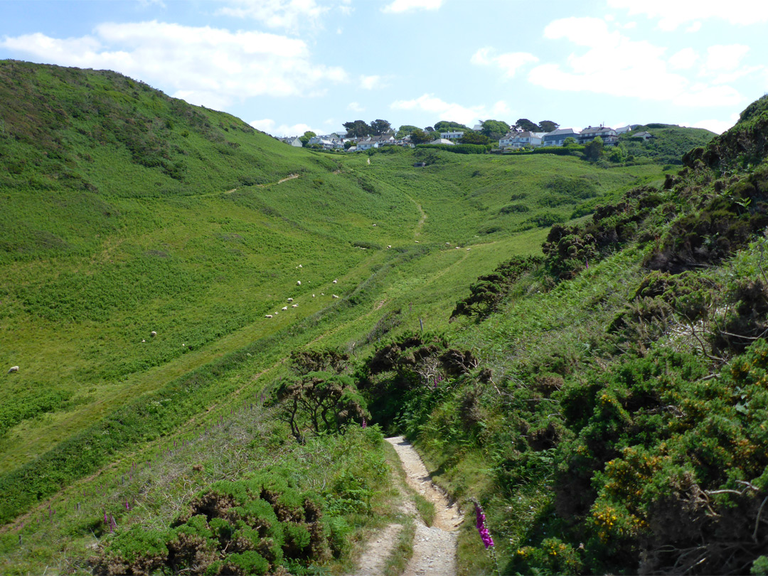 Path from North Morte