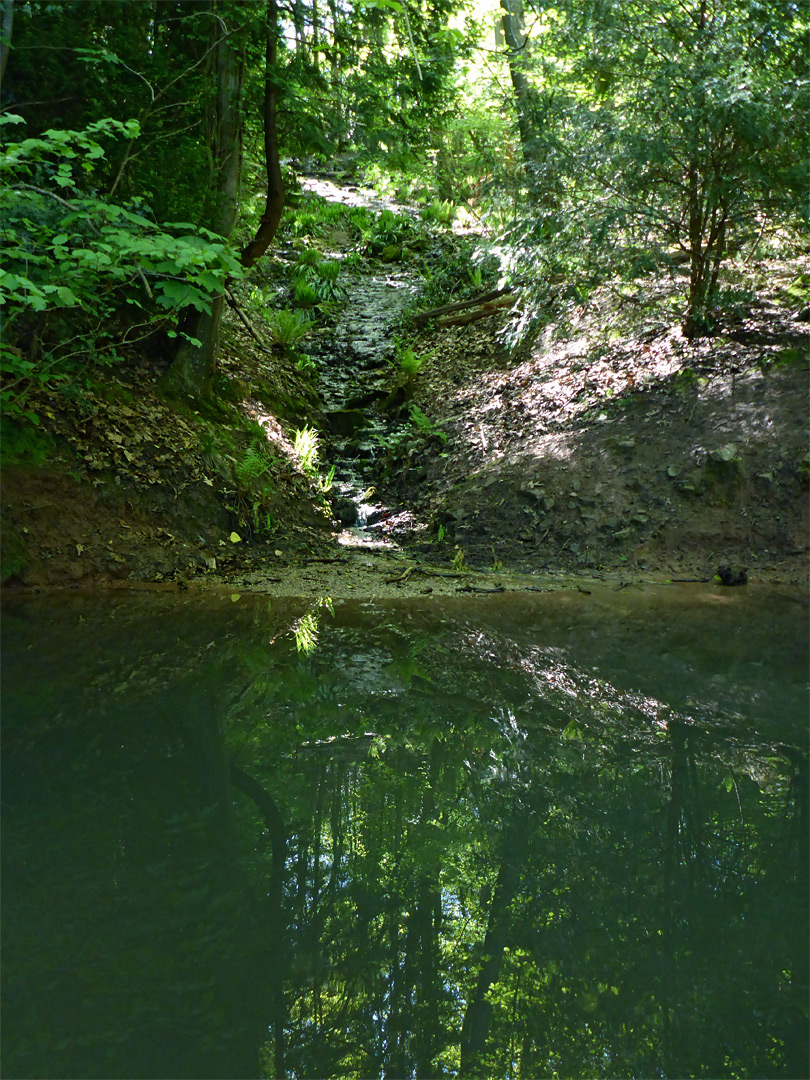 Pool in Oak Wood