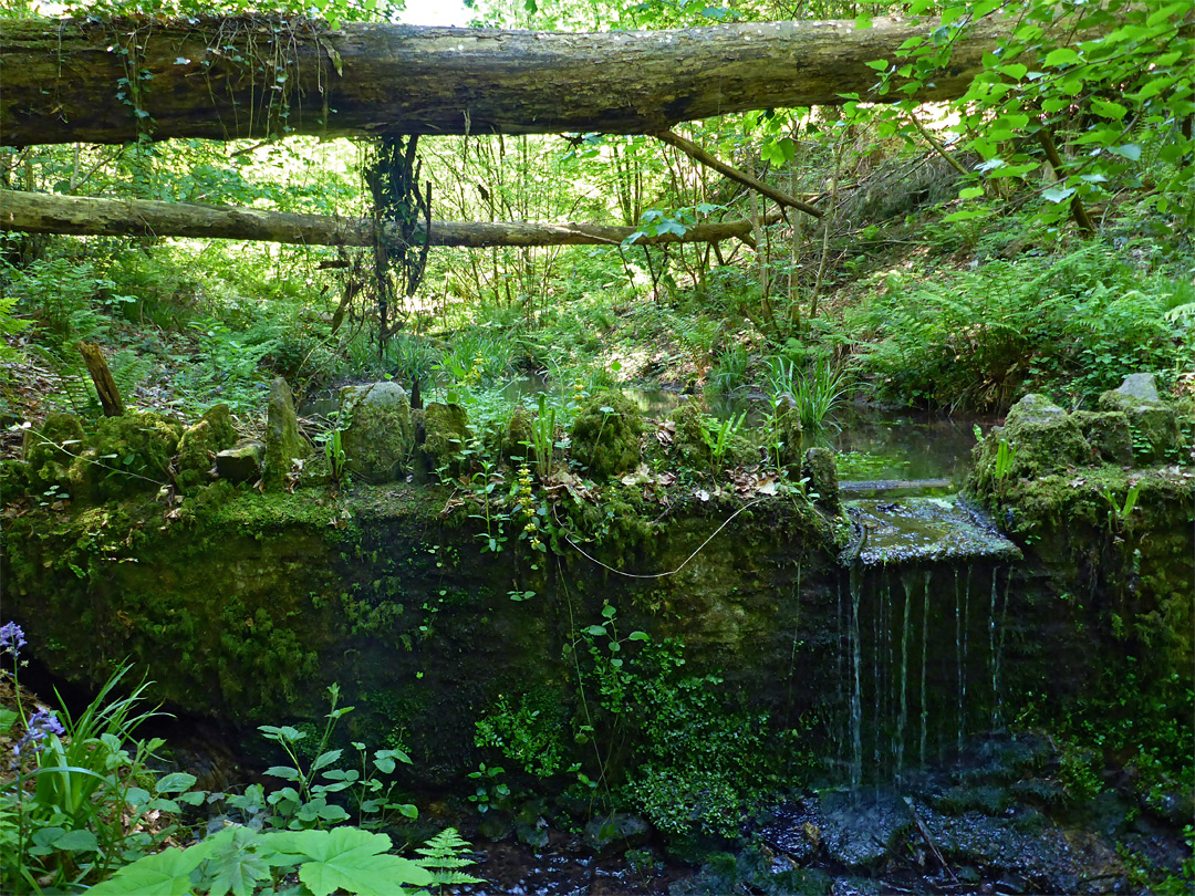 Dam and stream