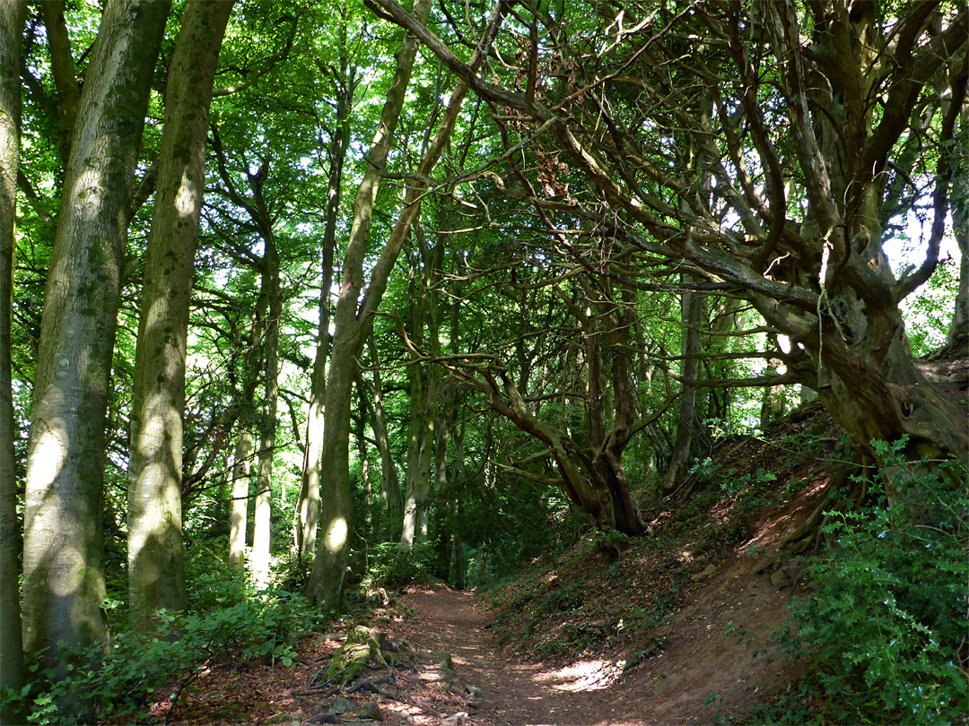 Offa's Dyke Path