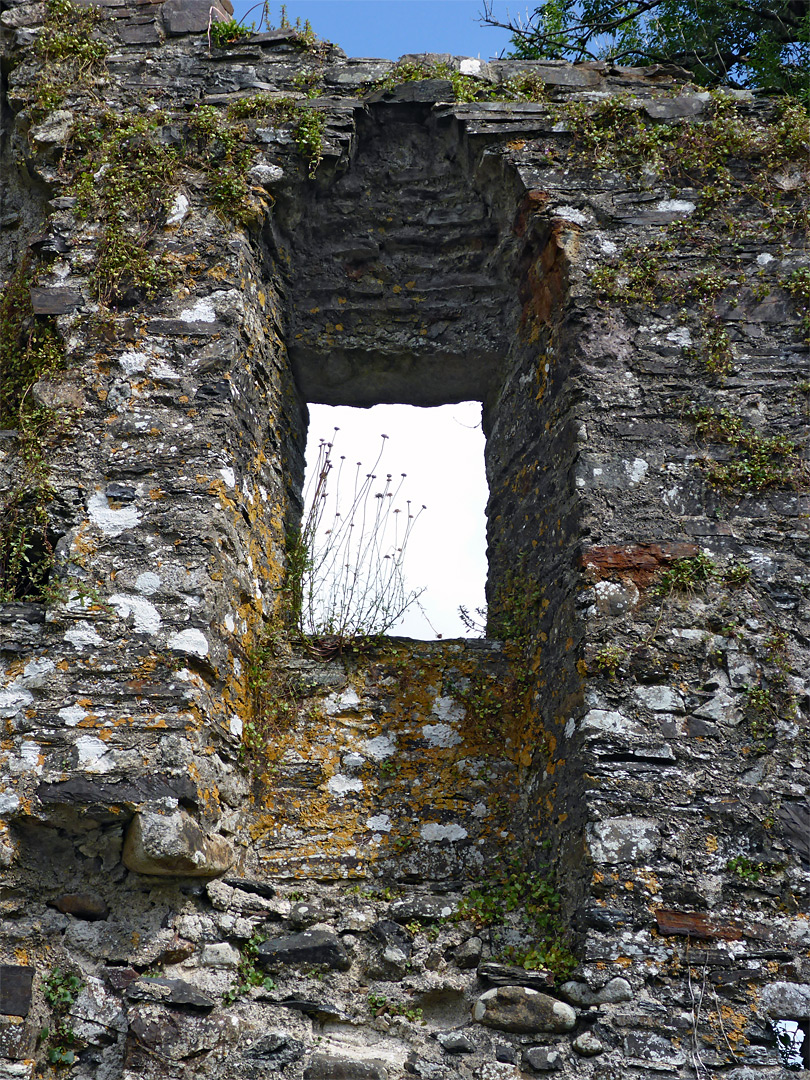 Slender window