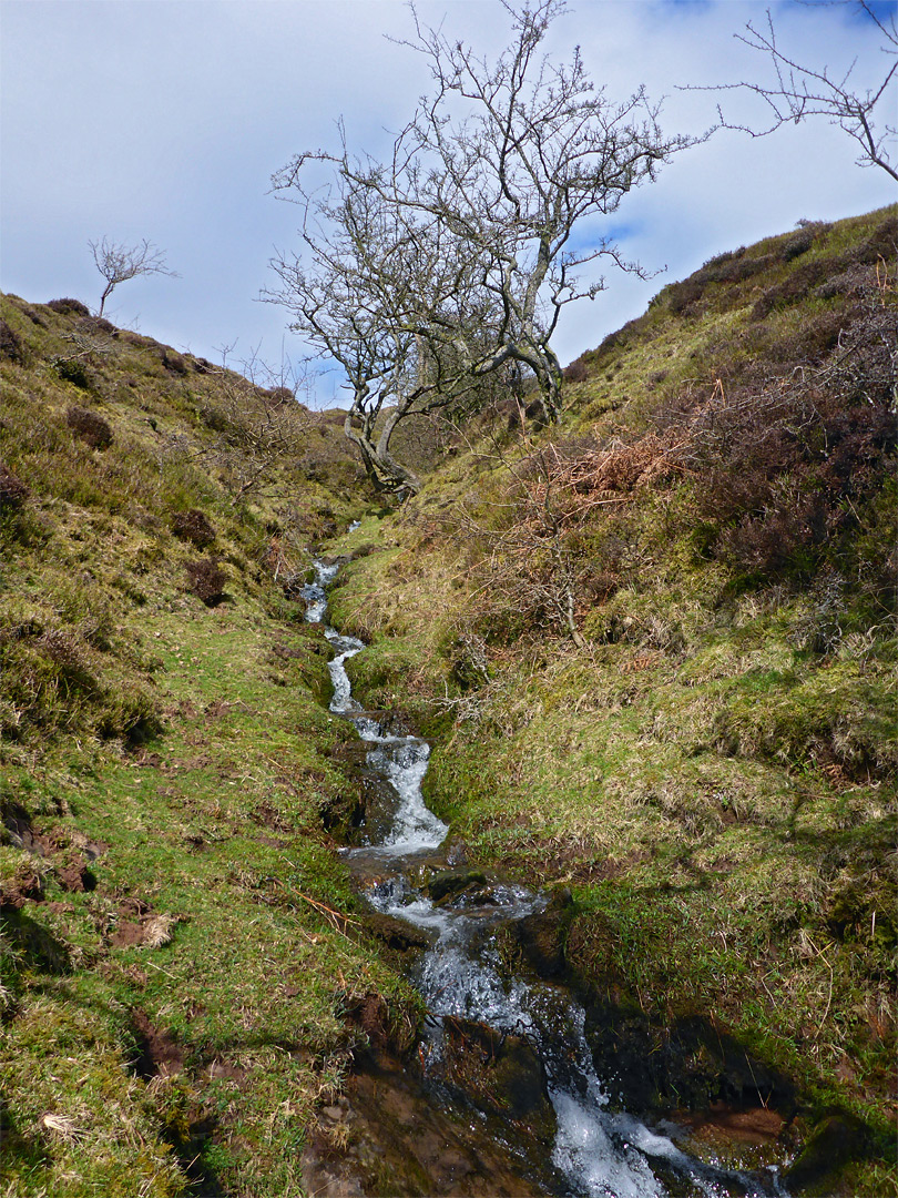 Tributary stream