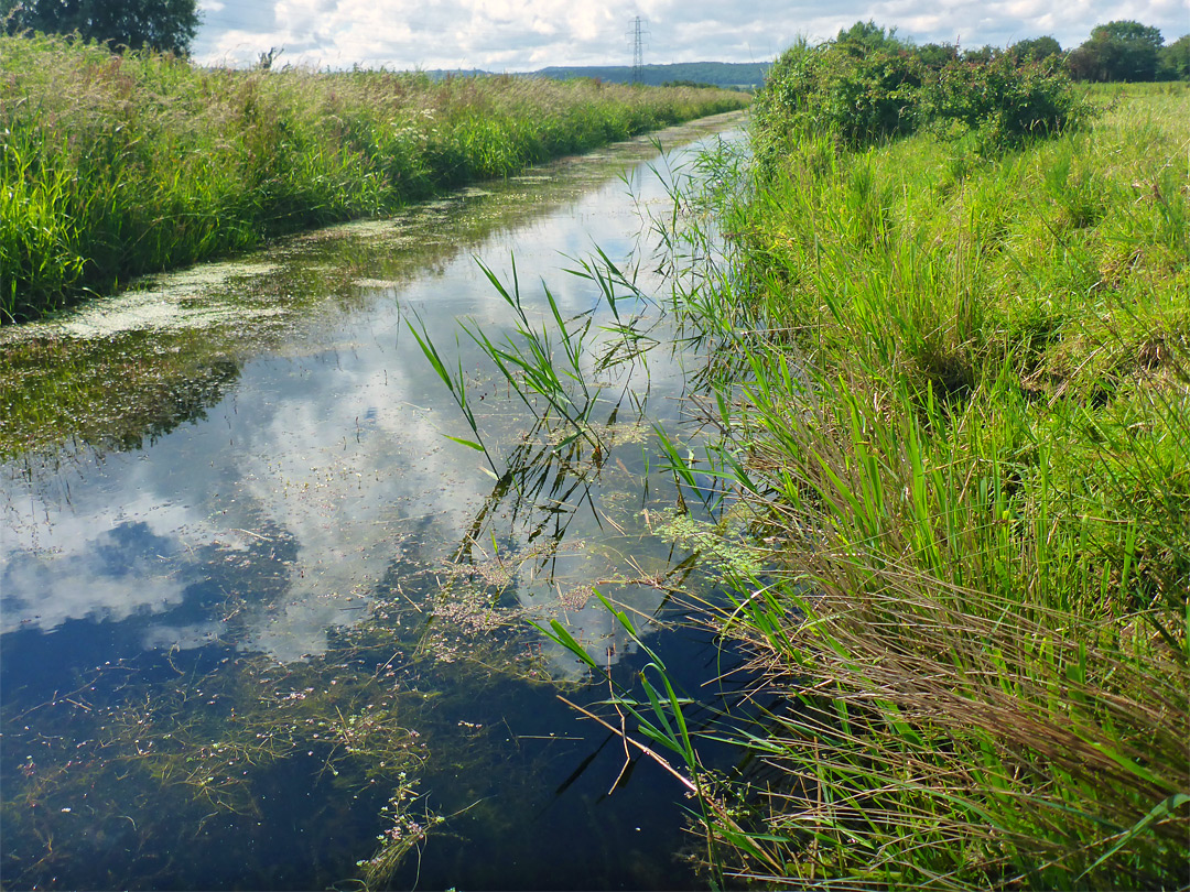 Oldbridge River - view south