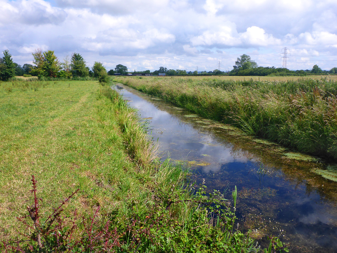 Oldbridge River - view north