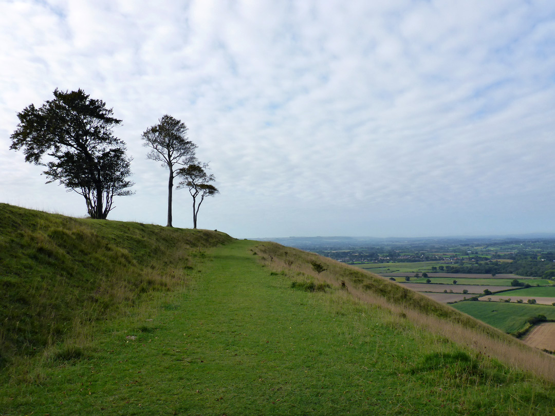 Grassy track