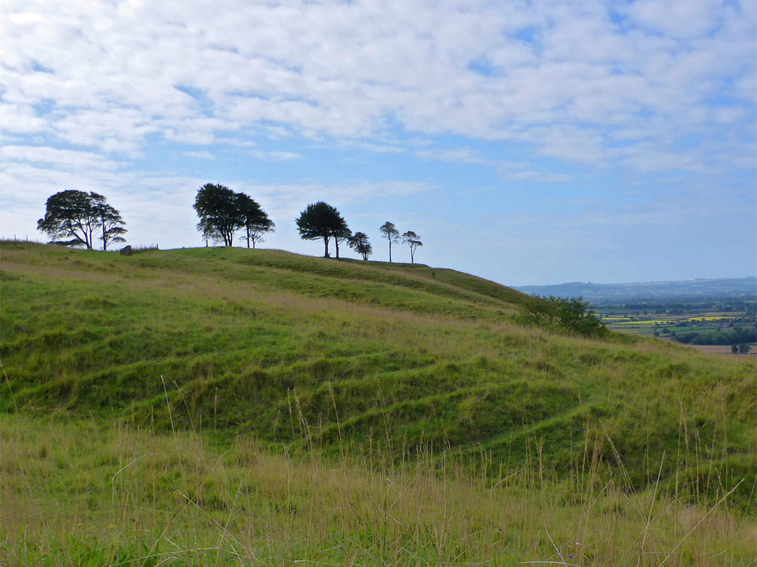 Sloping grassland