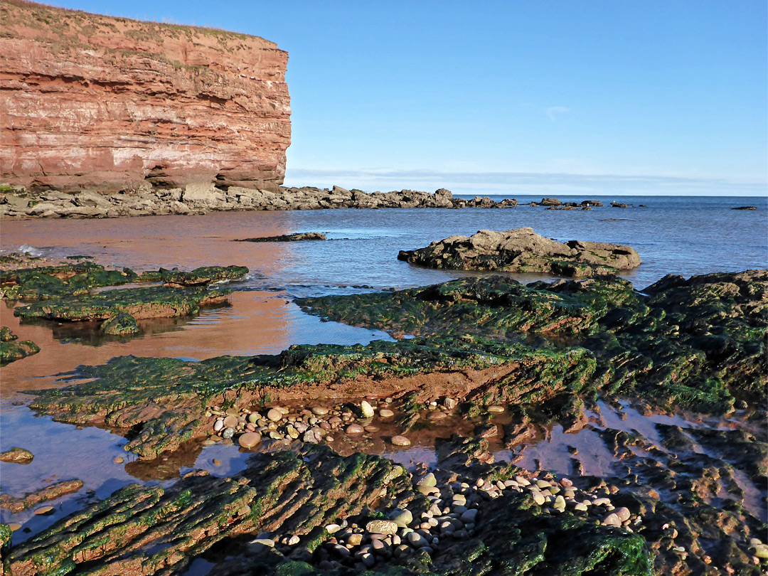 Otterton Ledge