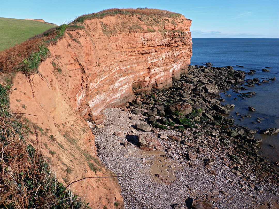 Cliff east of Otterton Point