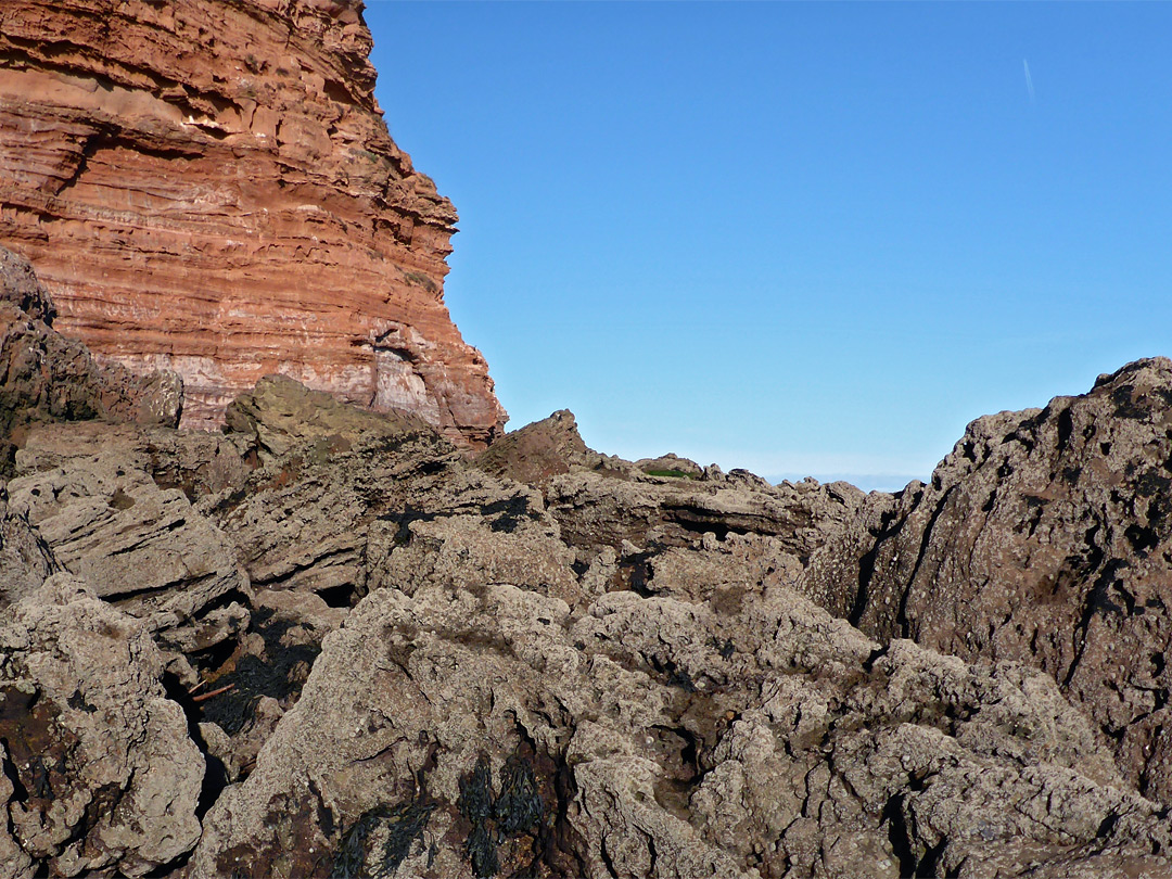 Barnacle-covered rocks