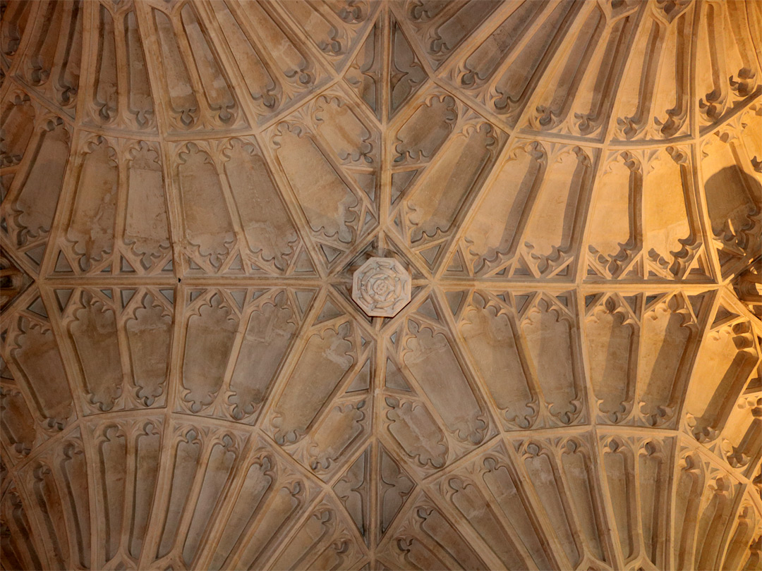 Fan-vaulted ceiling