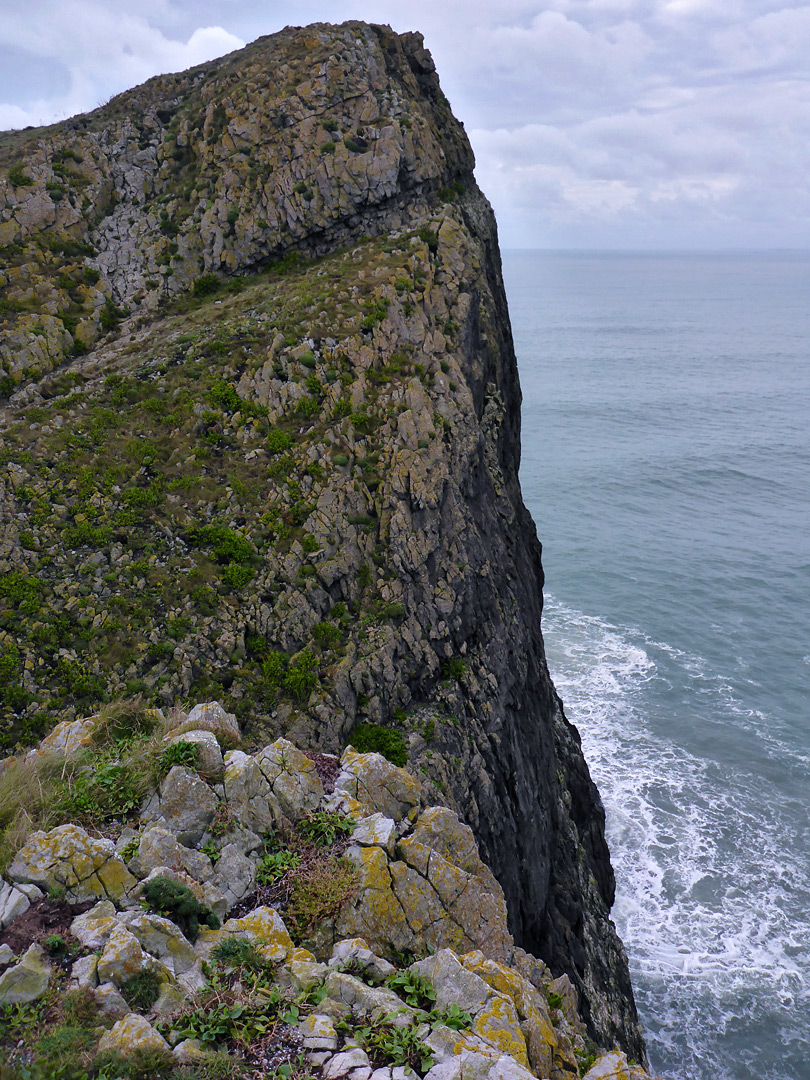 Tall cliff