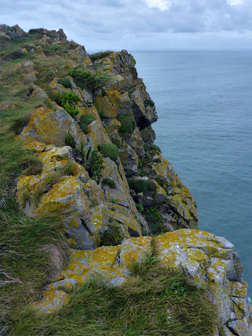 Top of Outer Head