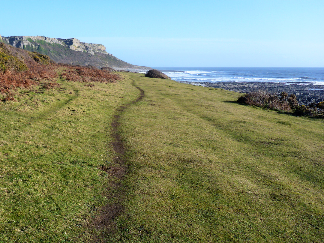 Path over grassland