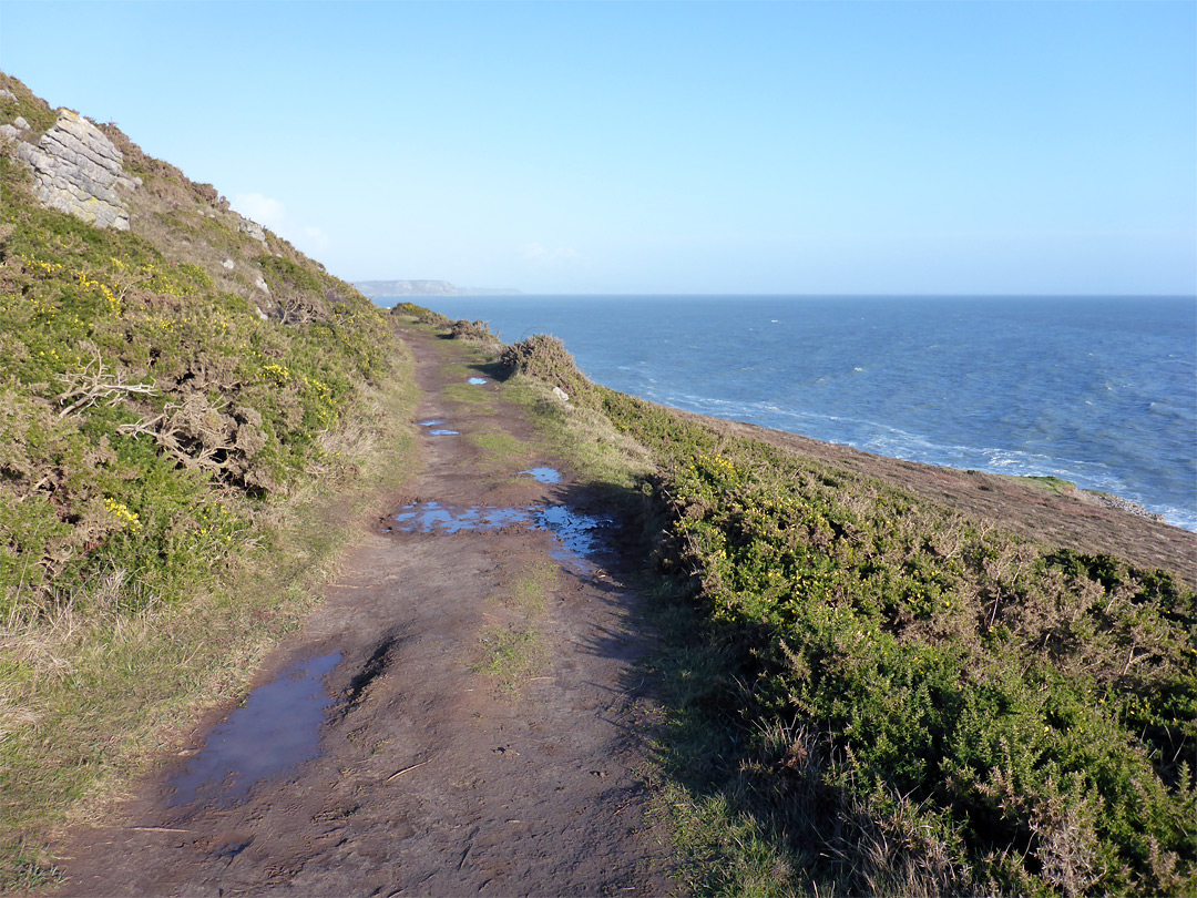 Puddles on the path