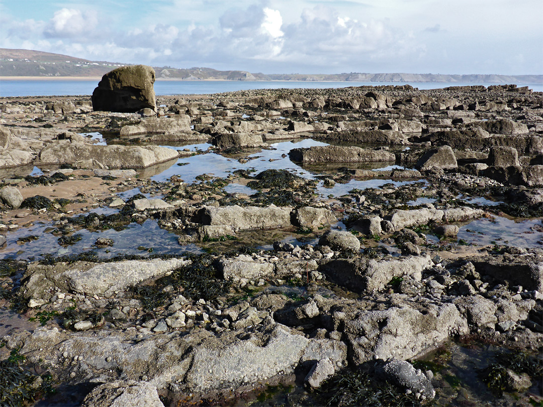 Barnacle-covered rocks