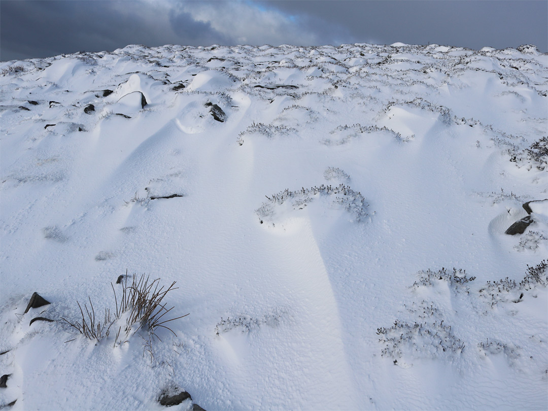 Wind-blown snow