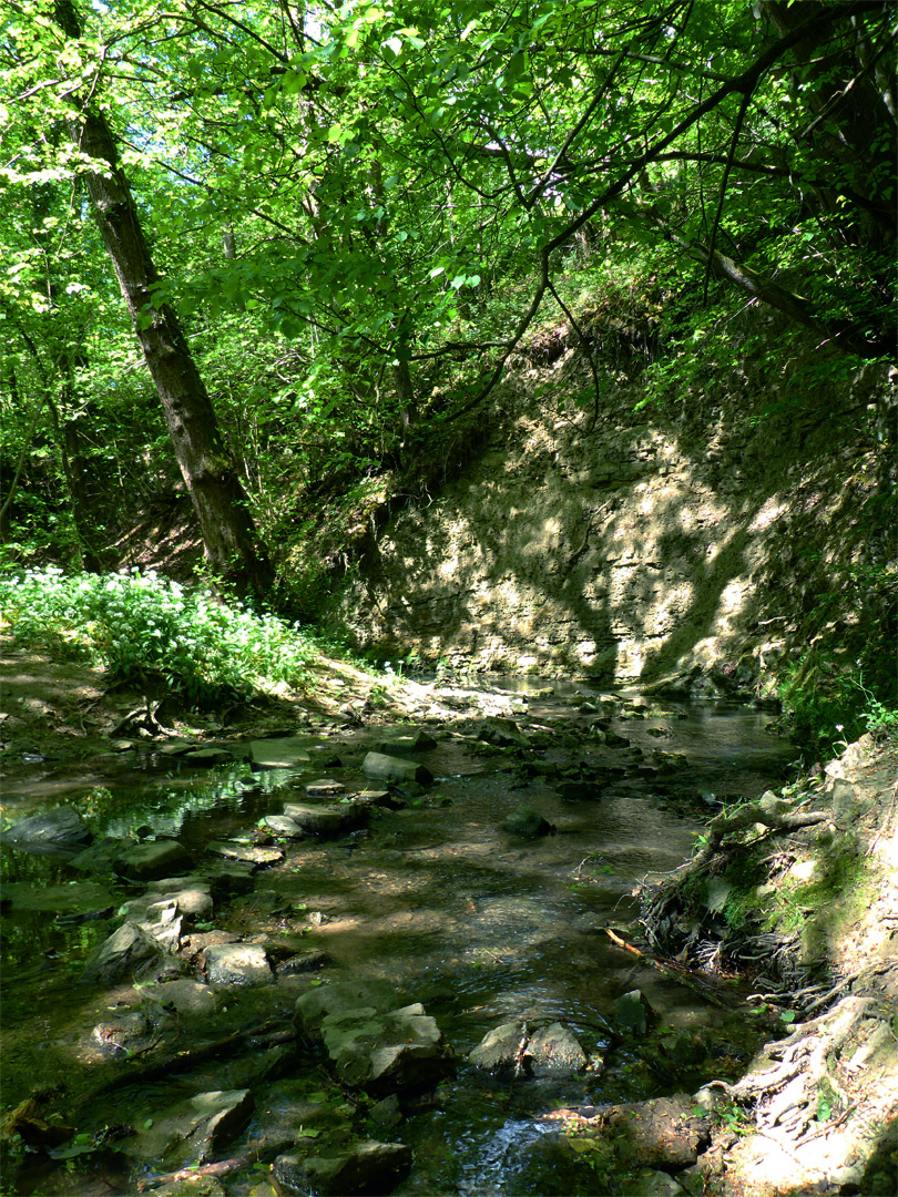 Pentaloe Brook