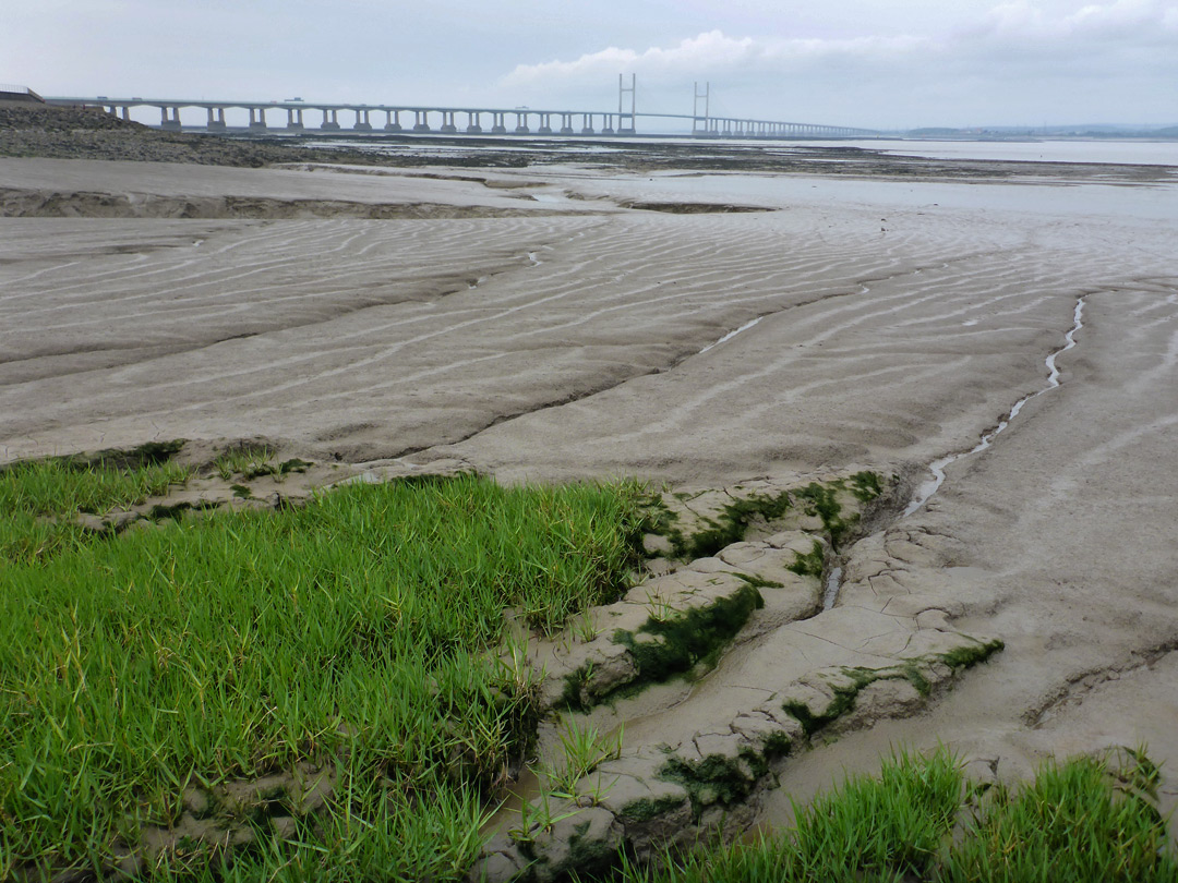 Mudflats