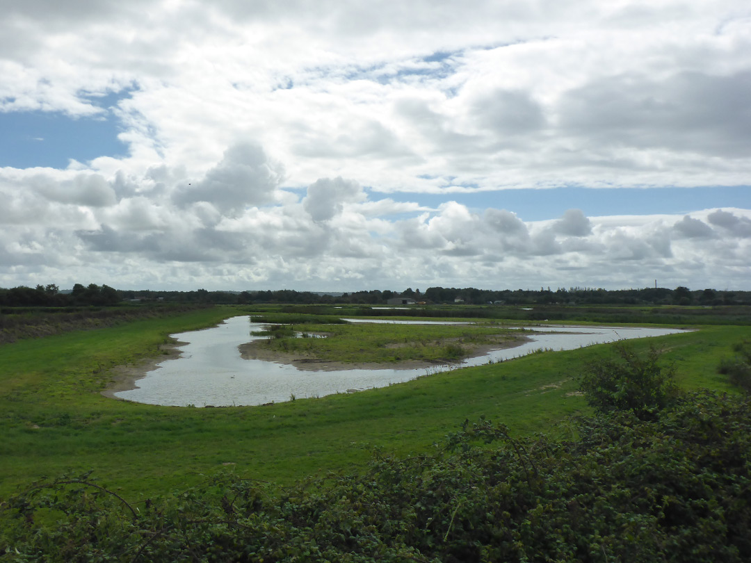 Pilning Wetlands