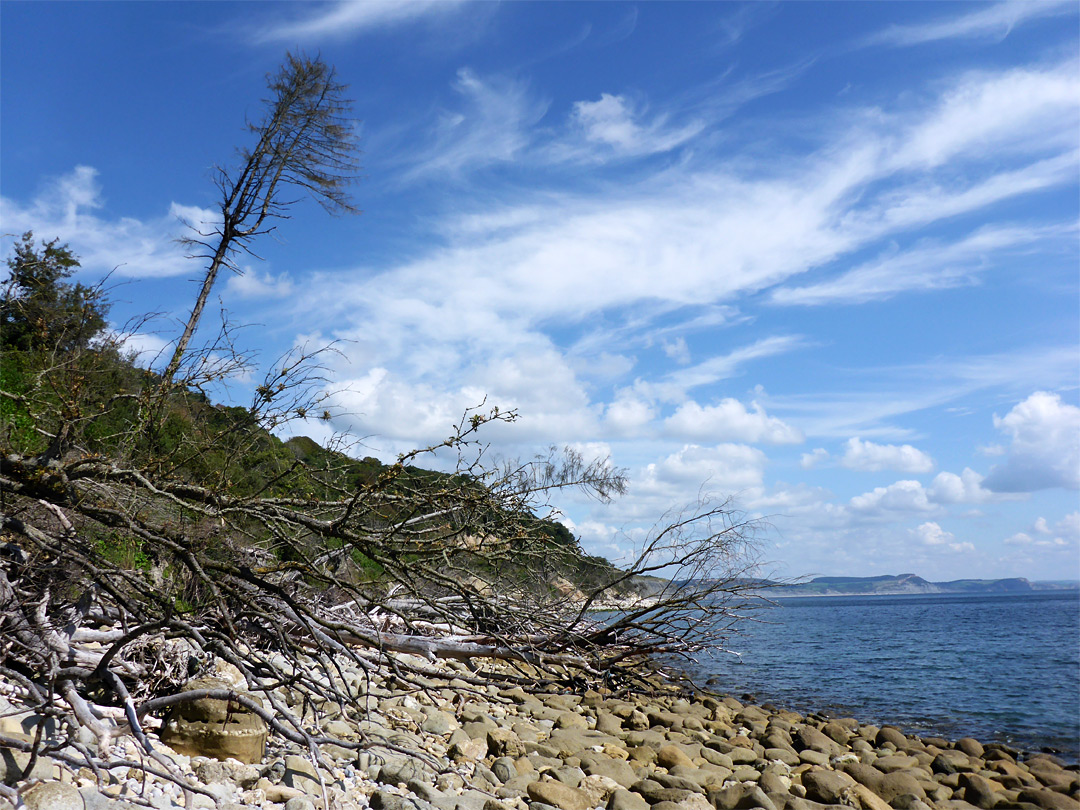 Beach below Pinhay Cliff