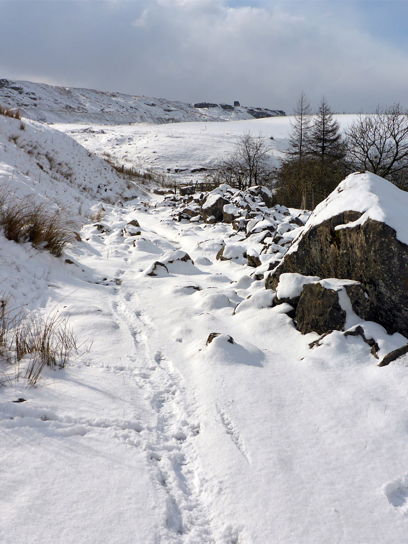 Snowy path