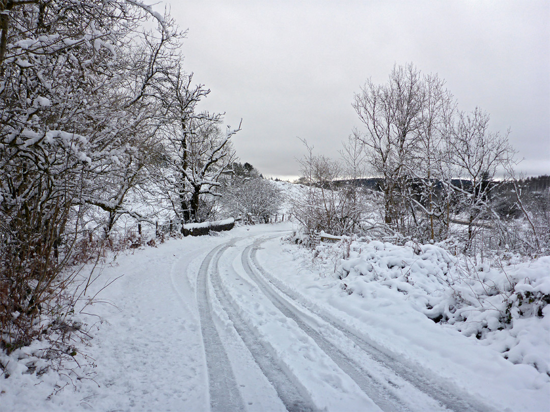 Pont Llysiog road