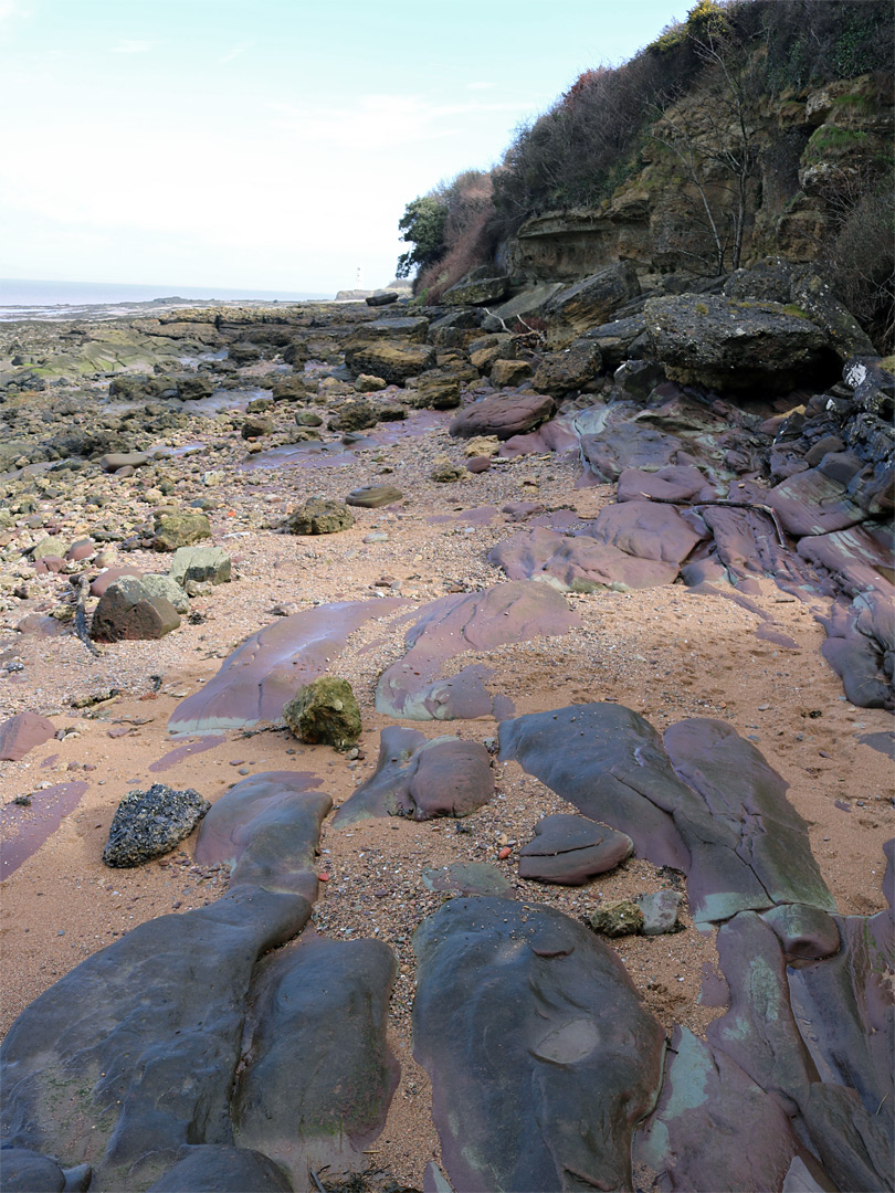 Purple rocks