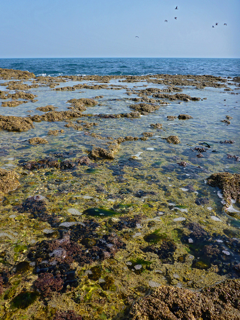 Rock pools