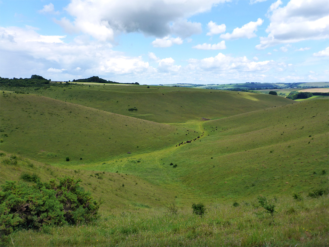 Shallow valley