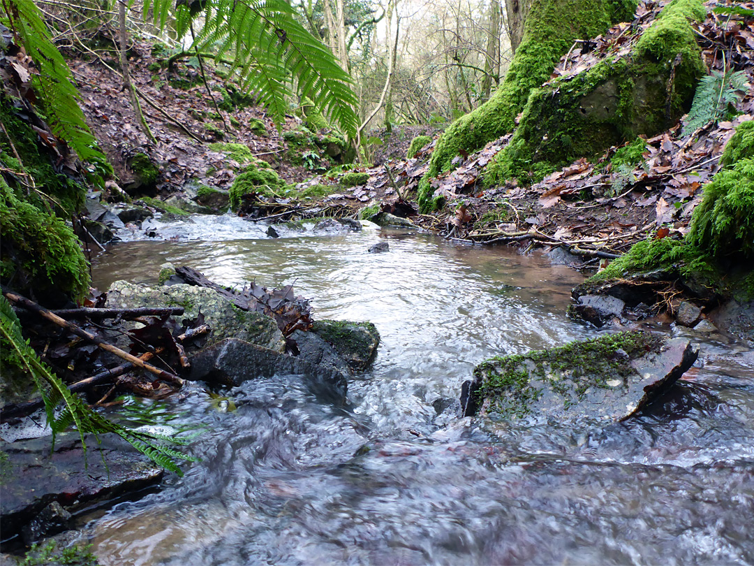 Rocks in the stream