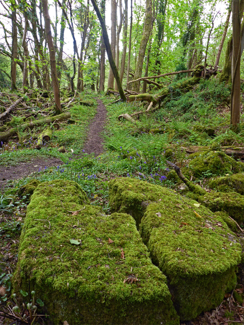 Broken millstone