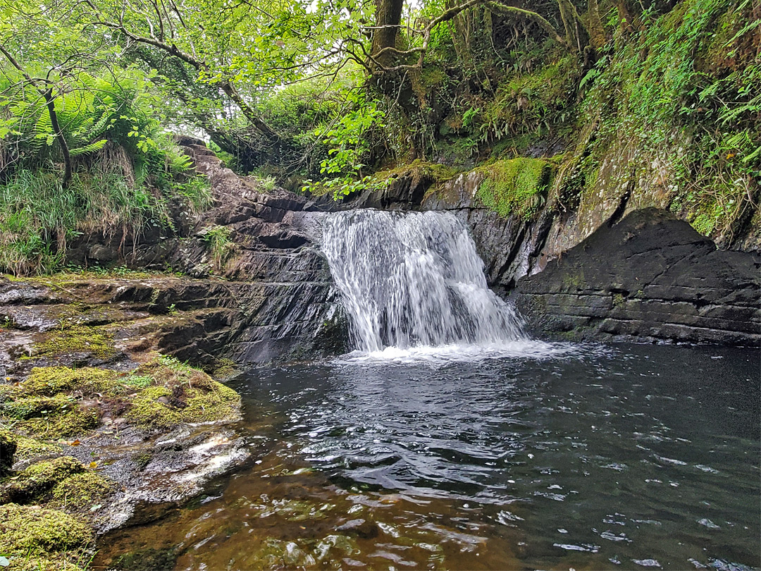 Pool and waterfall