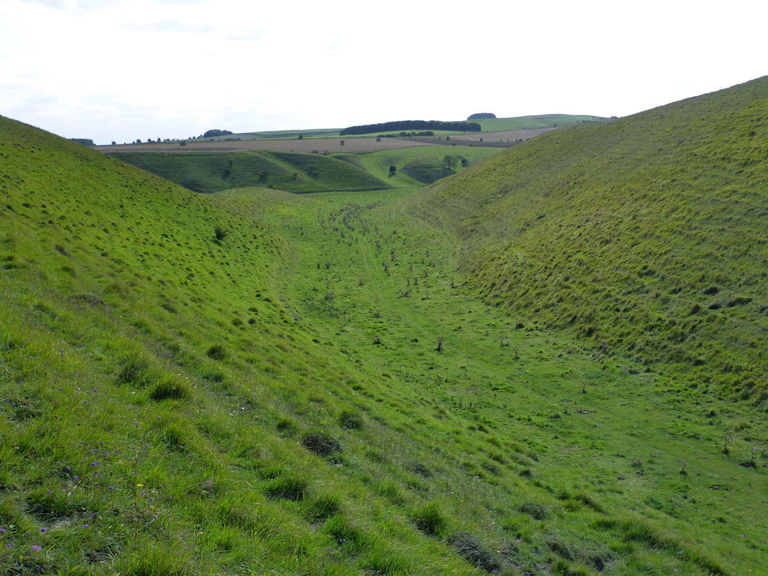 Undulating grassland