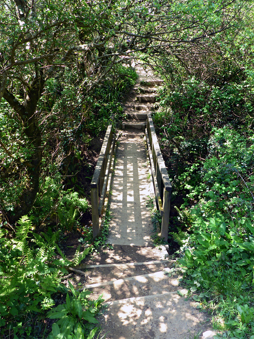 Bridge over Ridge Water