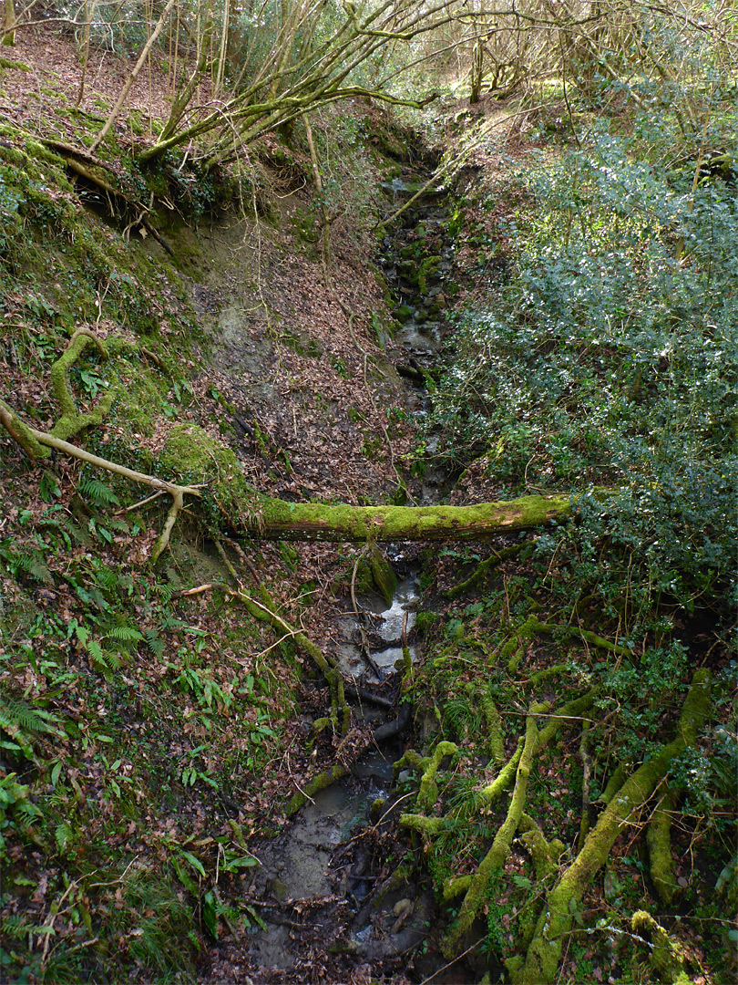 Steep tributary