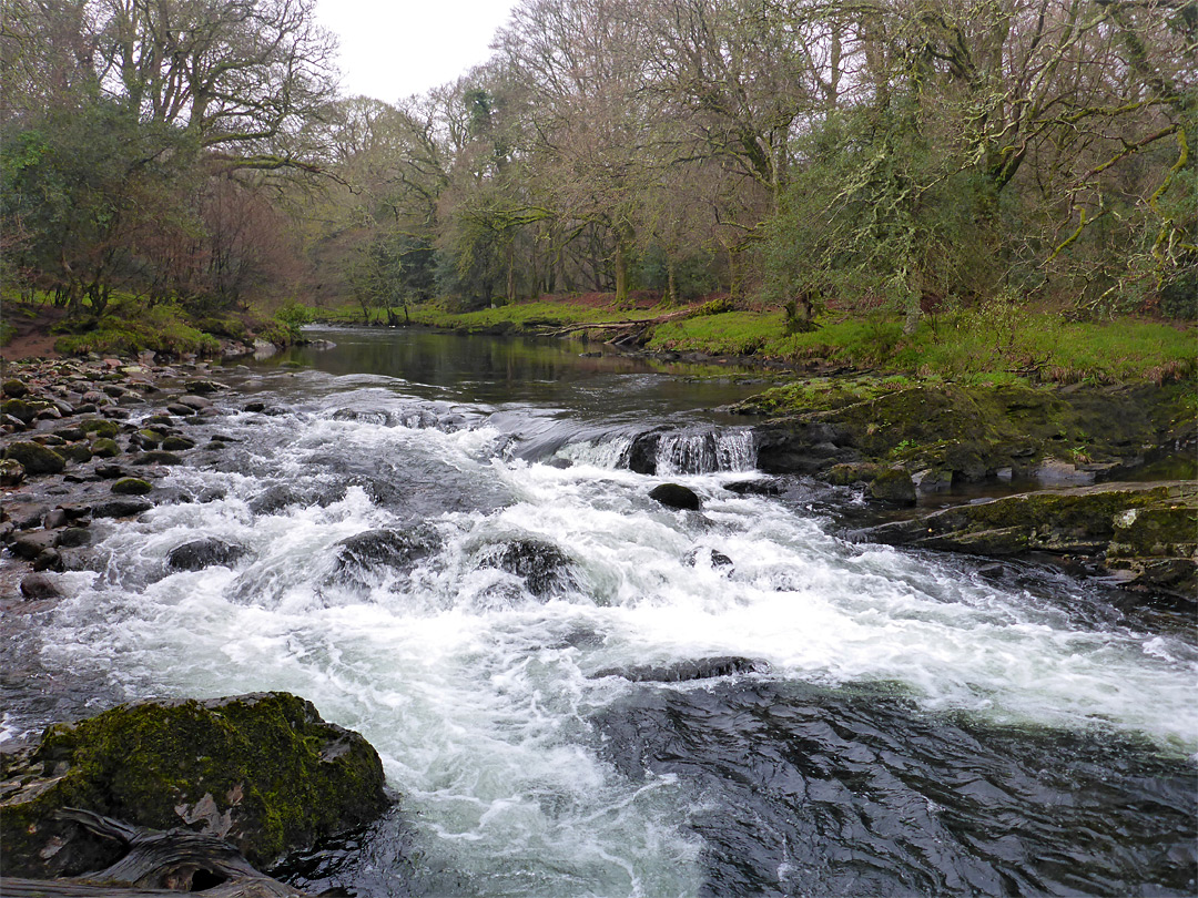 Cascade and rapids