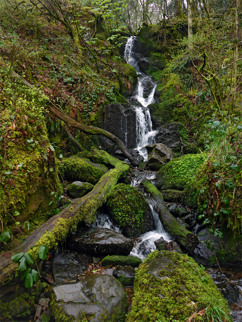 Tributary stream