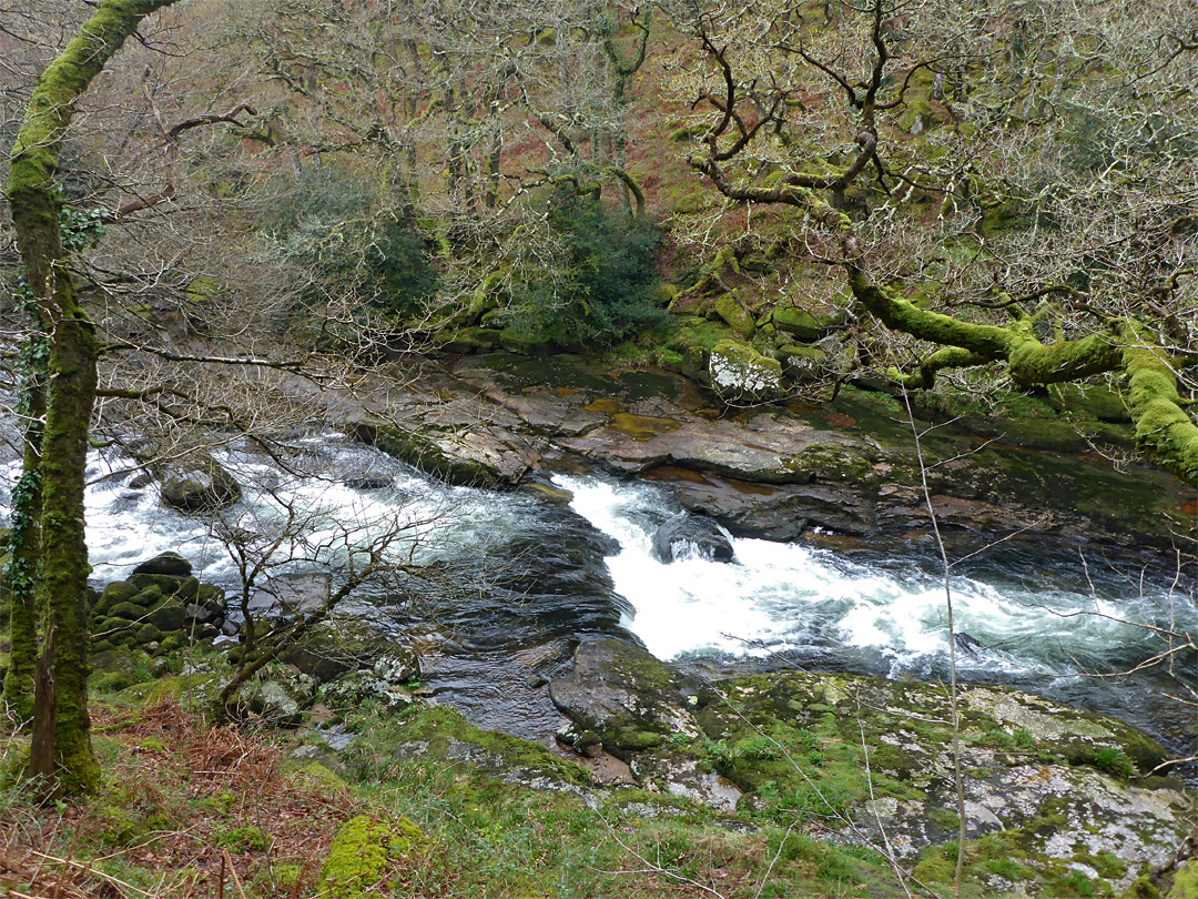 The river, White Wood