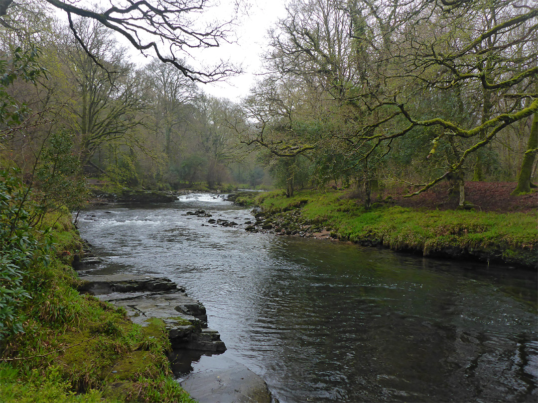 Calm section of the river