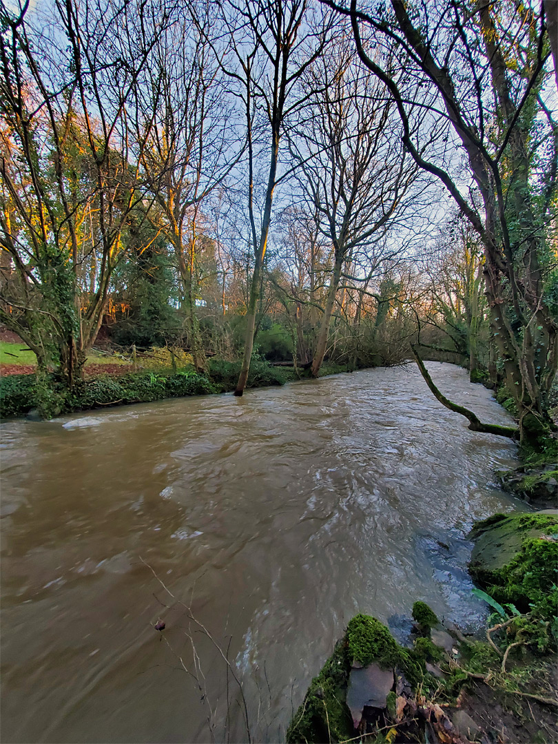 River near Hambrook