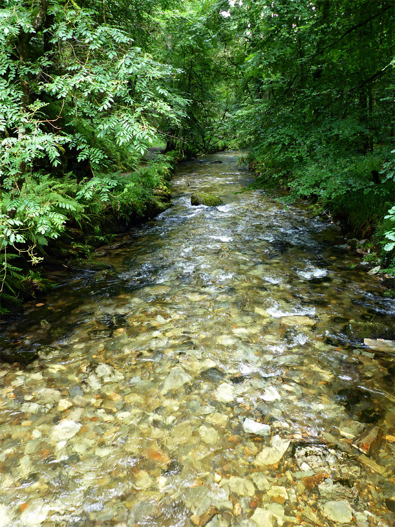 River Lyd